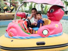 游乐设施-南宫五洲植物乐园