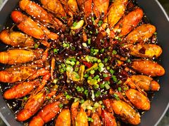 -庆合府重庆大排档(紫都城店)