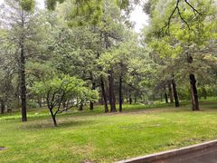 -清华大学-甲所餐厅