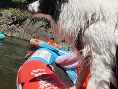 -安吉龙王山峡谷漂流