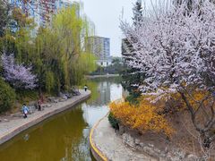 -团结湖公园