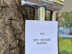 -陆家嘴中心绿地