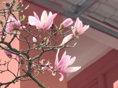 -贵州省植物园