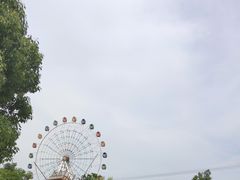 -金卉庄园