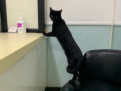 -全心全意连锁动物医院(加州店)