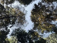 -同里国家湿地公园
