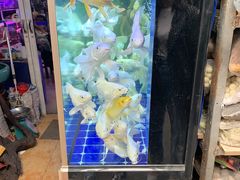 -梅陇花鸟市场-停车场