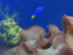 -常州海昌海洋探索馆