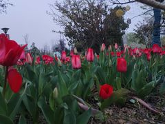 -祥源·阜阳生态乐园