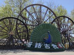 -呀路古热带植物园