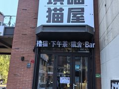-琪喵猫屋·撸猫猫咖·猫舍