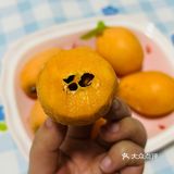 米易枇杷