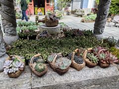 -寂照庵
