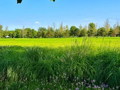 -汉长安城未央宫国家考古遗址公园