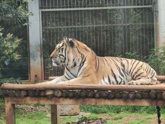 -昆明动物园