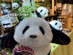 -轩客会(熊猫书店)