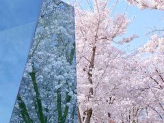 -龙美术馆(西岸馆)