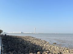 -上海吴淞炮台湾国家湿地公园