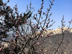 -天津盘山风景名胜区