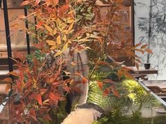 -绿茶餐厅(青岛城阳万象汇店)