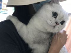 -瑞鹏宠物医院·骨科·猫科·内科(第一中心)