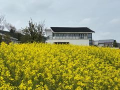 -南北湖风景区