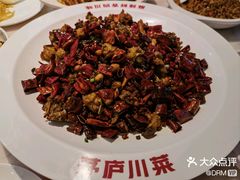 -茅庐毛血旺(烟台大悦城店)