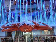 -蟹之国·精品蟹料理(极地店)