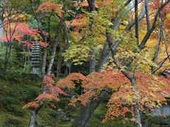-常寂光寺