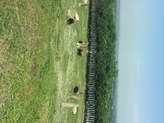 秦岭野生动物园-西安秦岭野生动物园