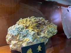 -青岛德国总督楼旧址博物馆