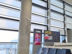 -上海浦东国际机场-T2航站楼