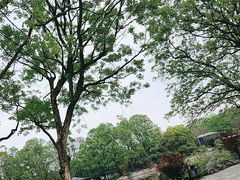 -东湖听涛景区