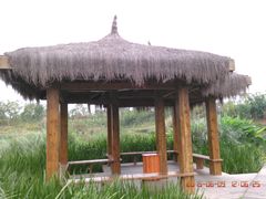 -白鹭湾湿地公园