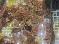-天盛海鲜烧烤大排档·本地小海鲜·牟平腿穗子(幸福店)