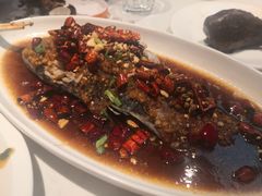-杨氏青龙虾·羊蝎子(金盛路总店)