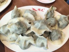 茴香馅饺子-鸿毛饺子(紫竹桥店)