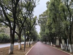 -南昌青山湖风景区