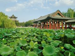 -济南大明湖景区