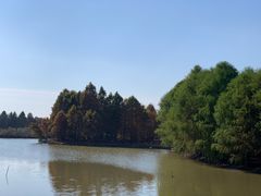 -上海海湾国家森林公园