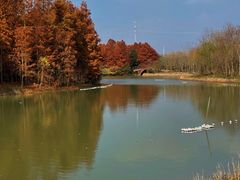 -上海海湾国家森林公园