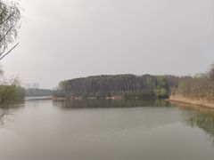 -昆山城市生态森林公园