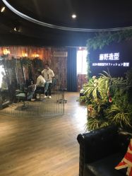 点击看大图 -藤野造型