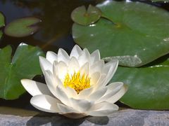 -西安化觉巷清真大寺