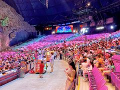 -珠海横琴长隆《卡卡虎奇遇记》