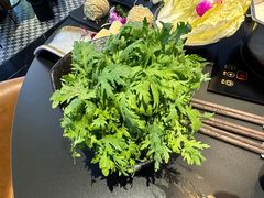 -新草堂锅物料理(泉城路店)
