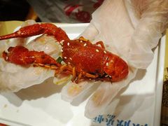 -靓靓蒸虾·头牌蒸虾(南山桂庙店)
