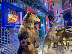 -凯德广场(武胜路店)