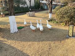 -长安先导国际创新人才交流中心