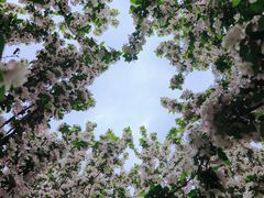 -天津东丽湖风景区